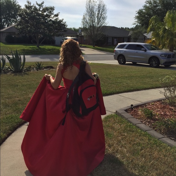 Sherry Hill Prom dress - Picture 6 of 8